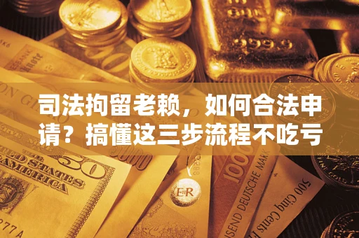 武汉司法拘留老赖，如何合法申请？搞懂这三步流程不吃亏！